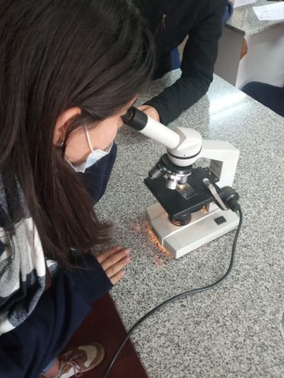 Práctico en Laboratorio de Observación de Células